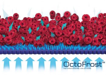 WHY FLUIDIZATION MATTERS IN IQF FREEZING
