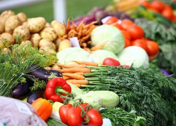 Almost 1.4 million tons of vegetables harvested in Russia
