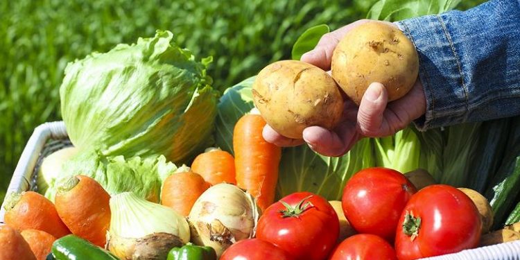 Fruit and vegetable union: there are no prerequisites for a rise in prices for the “borscht set”