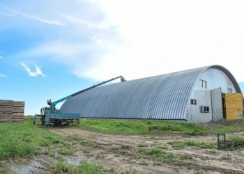 Vegetables and potatoes intend to keep the leading peasant farm in the Amur region
