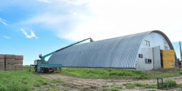 Vegetables and potatoes intend to keep the leading peasant farm in the Amur region