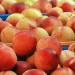 The export of Georgian hazelnuts and fruits continues to grow