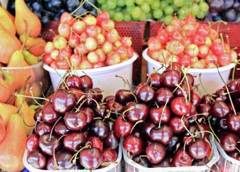 Fruit export problems from Moldova – will they be solved