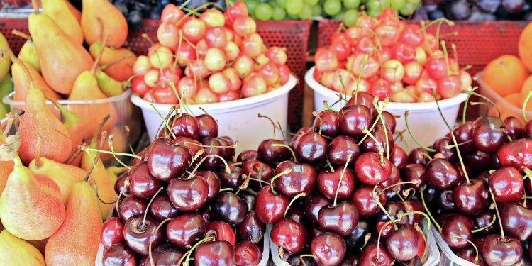 Fruit export problems from Moldova – will they be solved