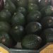 Due to the ban on early harvesting of avocados the sizes and maturity improved substantially