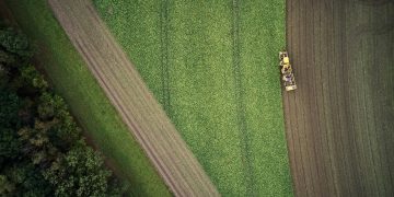 KWS reports on successful fiscal year 2021/2022 and expects further growth