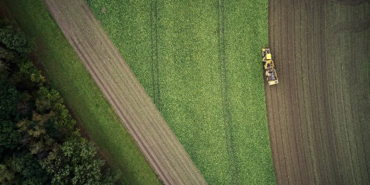 KWS reports on successful fiscal year 2021/2022 and expects further growth