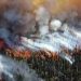 Wildfire Smoke’s Influence on Potato Crops Under Study