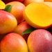 Territory Government making moves for Mango season
