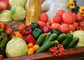 More than 100,000 tons of vegetables have been harvested since the beginning of the harvesting campaign in the Saratov region