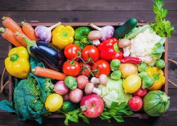 145 thousand tons of vegetables were harvested in Kabardino-Balkaria