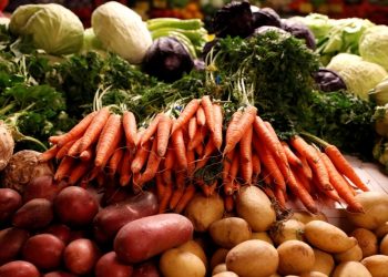 The expert of “Augusta” on the protection of vegetables from the “borscht set” and the new harvest