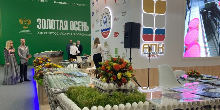 The results of the “Golden Autumn 2020”: The Ministry of Agriculture of Russia presented the achievements of the Russian agro-industrial complex and outlined further steps for the development of the industry