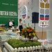 The results of the “Golden Autumn 2020”: The Ministry of Agriculture of Russia presented the achievements of the Russian agro-industrial complex and outlined further steps for the development of the industry