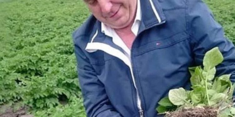 Bryansk region has stalled with the harvesting of every 8th kilo of Russian potatoes.