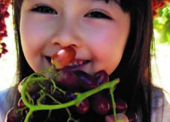 Grapes grown specifically for Asian markets