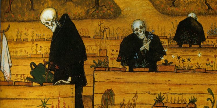 Kenia lifted the ban on the cultivation of genetically modified crops