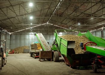 A farmer in the Tambov region built a hangar for storing a new potato crop
