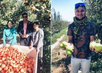 Chilean and Brazilian apples did not do well in the Indian market in 2021, but Polish and Turkish apples did