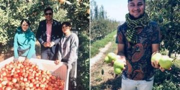 Chilean and Brazilian apples did not do well in the Indian market in 2021, but Polish and Turkish apples did