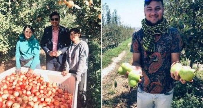 Chilean and Brazilian apples did not do well in the Indian market in 2021, but Polish and Turkish apples did