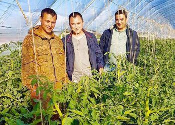 Almetyevsk “Village” is recognized as the best