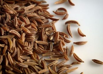 Kaliningrad farmers stopped supplying cumin to Europe