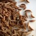 Kaliningrad farmers stopped supplying cumin to Europe