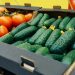 More than half of the harvest of open-ground vegetables was sold in Stavropol