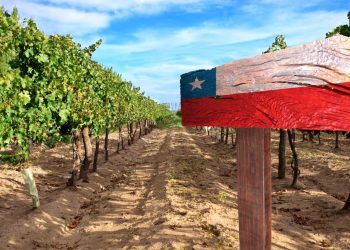 Agronometrics in Charts: Grape Exports from Chile expected to fall in 2022-23 season