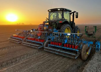 Market and Crop Update for November 17, 2022