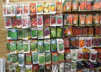 Seeds of non-existent varieties of vegetables were sold in Sosnovoborsk