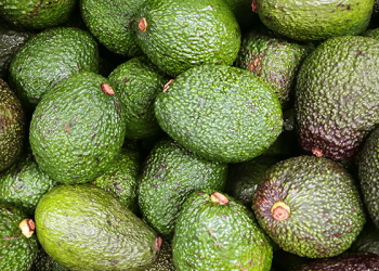 Peruvian avocado exports to the U.S. expected to grow in 2022