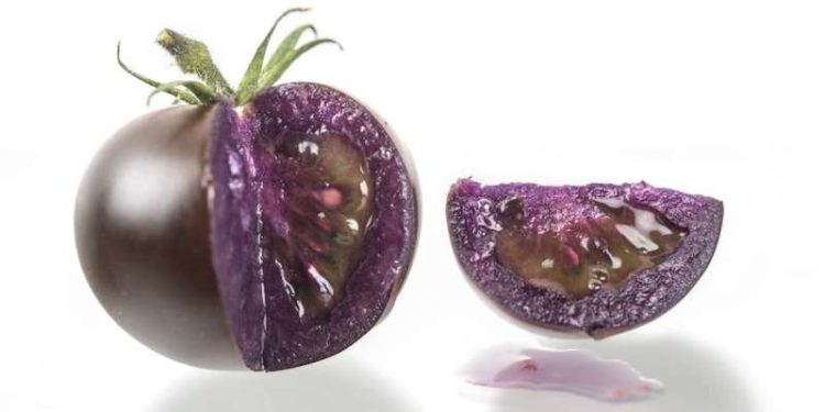 Фиолетовые помидоры были одобрены для продажи в США. Предоставлено: JIC Photography / flickr.