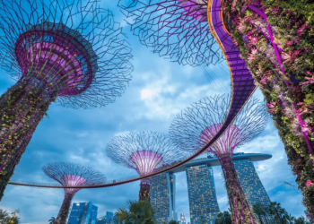 Singapore approach: How a small country revives agriculture on 1% of farmland