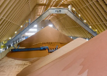 Russia imposes duties on fertilizers and extends quotas: what will happen to the export