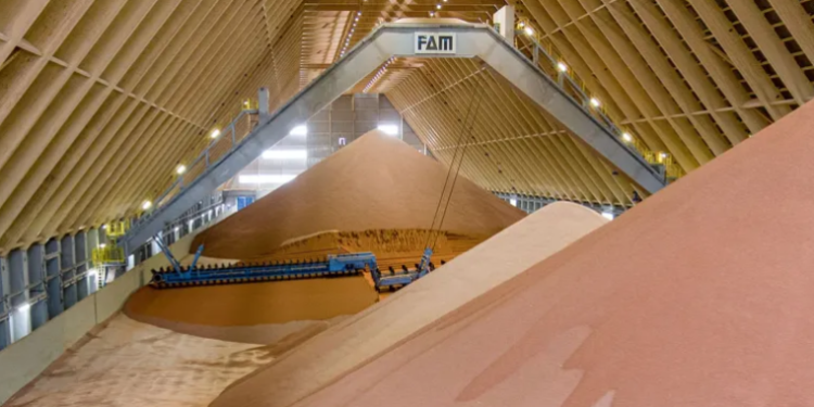 Russia imposes duties on fertilizers and extends quotas: what will happen to the export