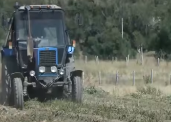 A NEW TECHNOLOGY FOR GROWING VEGETABLES WAS DEVELOPED IN SHYMKENT