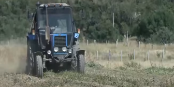 A NEW TECHNOLOGY FOR GROWING VEGETABLES WAS DEVELOPED IN SHYMKENT