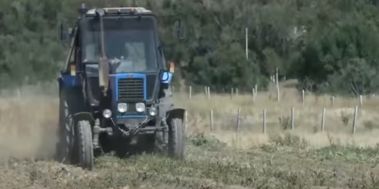 A NEW TECHNOLOGY FOR GROWING VEGETABLES WAS DEVELOPED IN SHYMKENT