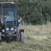 A NEW TECHNOLOGY FOR GROWING VEGETABLES WAS DEVELOPED IN SHYMKENT