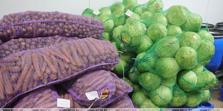 The availability and storage conditions of products in stable funds will be checked throughout the country