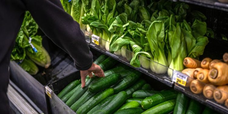 US Vegetable Prices Soar Nearly 40% as Water Cuts Crush Supply