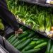 US Vegetable Prices Soar Nearly 40% as Water Cuts Crush Supply