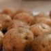 Near Kostroma began to grow varieties of potatoes for import substitution