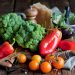 Stocked up for the future. In the Leningrad region, the first results of the agricultural year are summed up