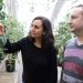 Carmen Catalá and Philippe Nicolas examine tomatoes in a BTI greenhouse. Credit: Boyce Thompson Institute