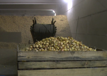 In the Sverdlovsk region, there is a program to support farmers for the development of the industry