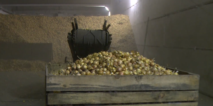 In the Sverdlovsk region, there is a program to support farmers for the development of the industry