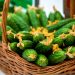 In January, Tambov region stores will receive a new crop of Tambov vegetables